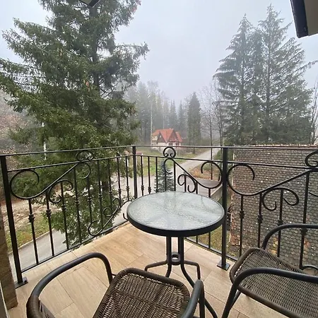 Alexandro Apartmani Zlatibor Exterior photo
