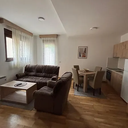 Alexandro Apartmani Zlatibor Exterior photo