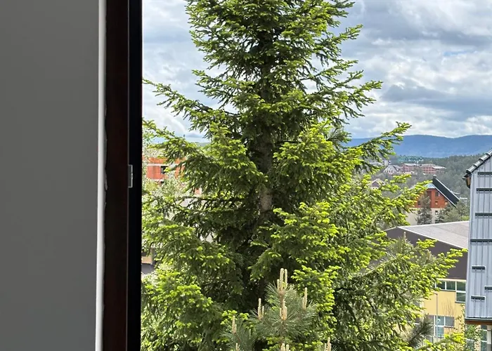 Alexandro Apartmani Zlatibor