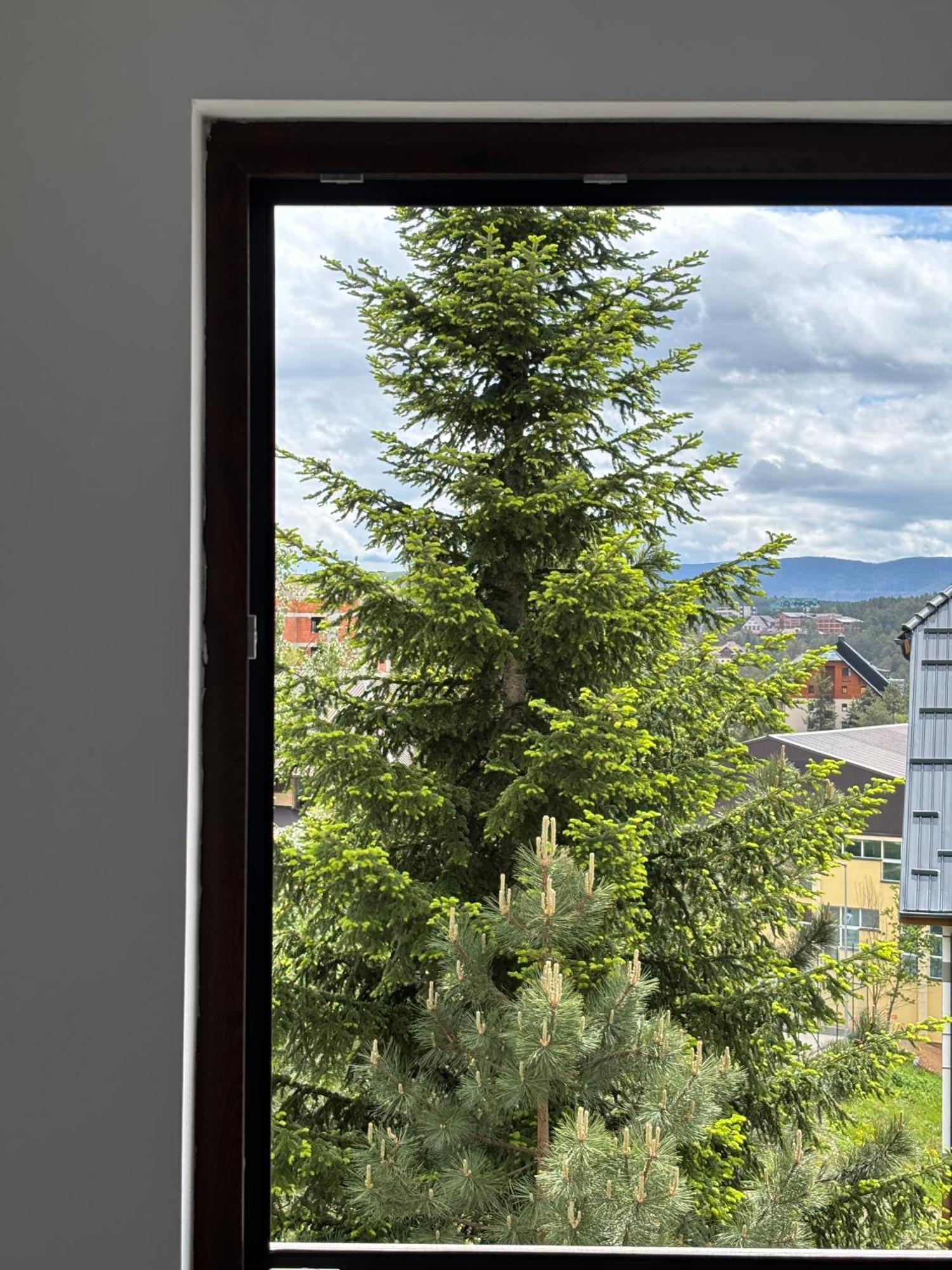 Alexandro Appartamento Zlatibor